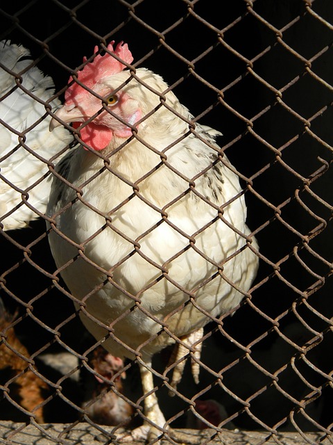 12记三分 12记三分