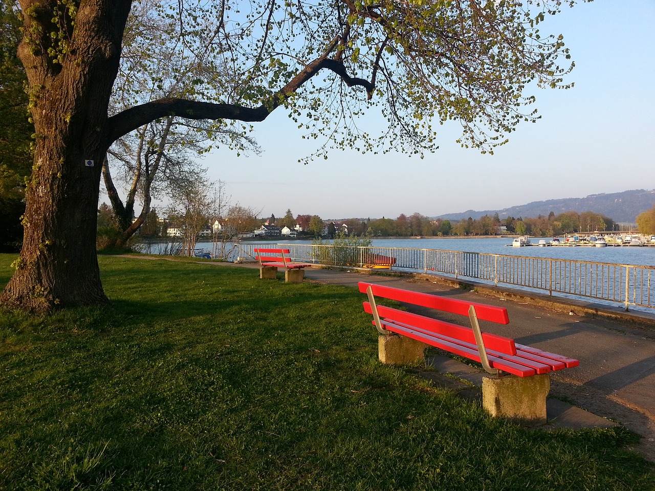 已久的比赛 已久的比赛