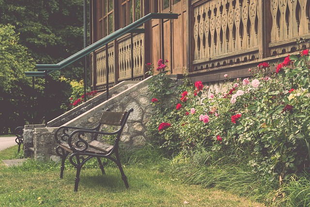 经成为许多 经成为许多