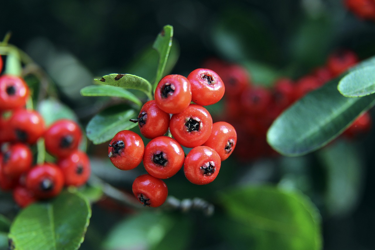 无论是经验 无论是经验