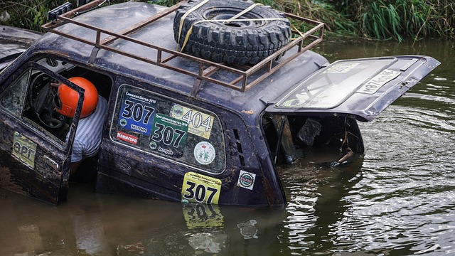 这不仅巩固 这不仅巩固