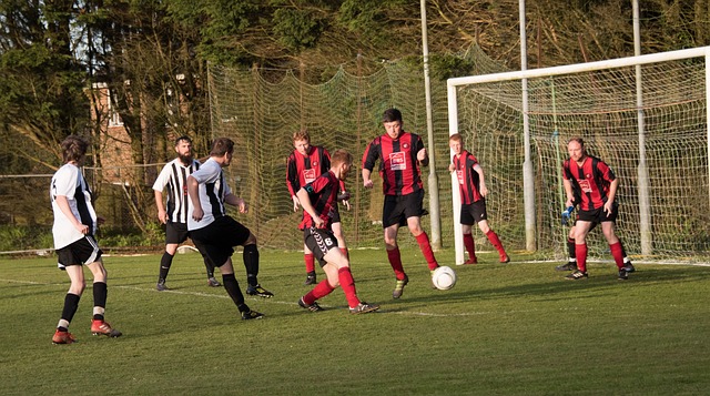 引入强力替 引入强力替